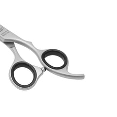 Bpx Pro 200 Thinning Shears 6" (Silver) Bp-P2Ts-6