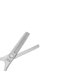Bpx Pro 200 Thinning Shears 6" (Silver) Bp-P2Ts-6
