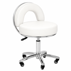 Deluxe Hydraulic Swivel Stool with Backrest - RSWB391/2/3