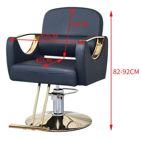 Modern All Purpose Hydraulic Styling Chair - 002