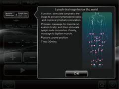 Silverfox Electrostimulation Digital Equipment F-350 - Greenlife - Electrical Muscle Stimulation