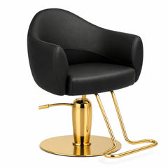 H. Master® Italy Styling Chair Adjustable Salon Chair Y293 - Brown color