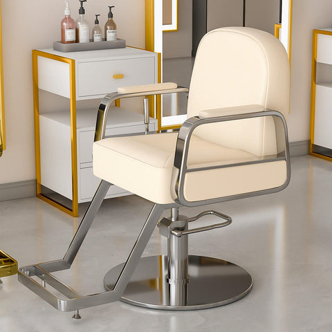 Modern All Purpose Hydraulic Salon Swiveling Styling Chair