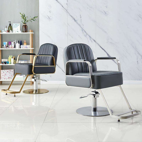 Modern All Purpose Hydraulic Salon Swiveling Styling Chair