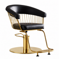 Hair Salon hairdressers Styling Chair Adjustable multifunctional Customers Chair