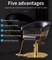 Hair Salon hairdressers Styling Chair Adjustable multifunctional Customers Chair