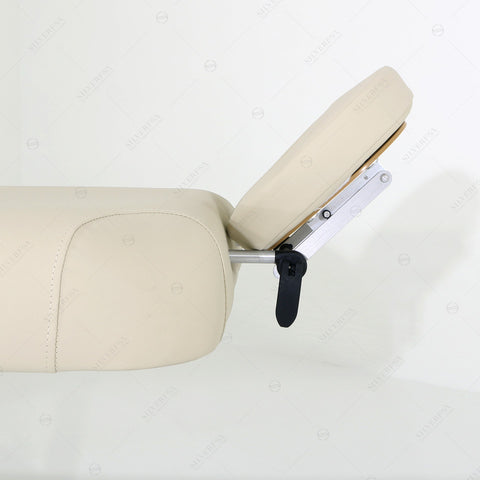 Holiday Deal~! SilverFox German 2-motor Electric Massage Bed Table (Silver fox 2274A) with Foot controller or Hand controller