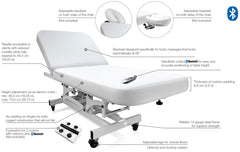 Silhouet-Tone ® Laguna Edge 2 Motors Multifunctional Treatment Table Tilt Massage Bed 412005 - Made In Canada