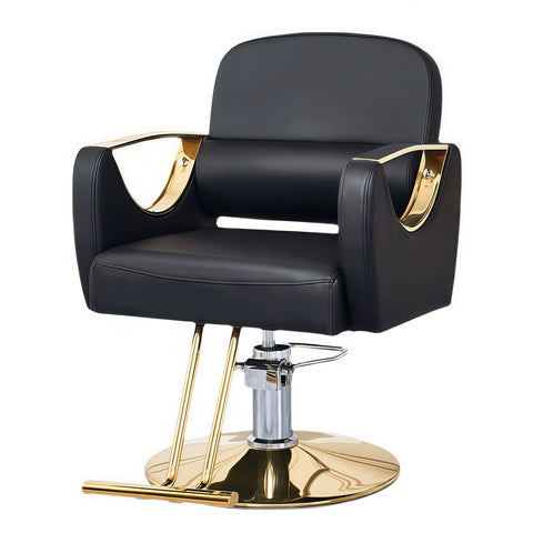 Chaise de style hydraulique tout usage moderne - 002