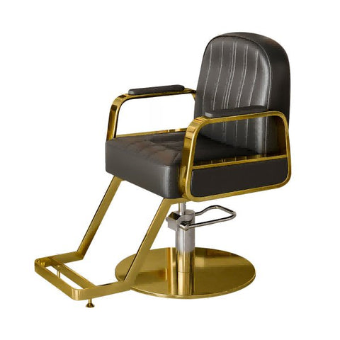 Modern All Purpose Hydraulic Salon Styling Swiveling Chair - GreenLife - Styling Chair