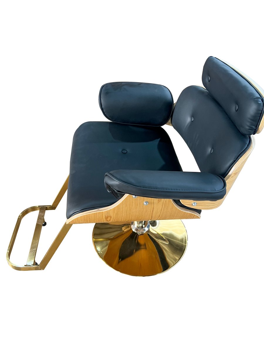 Modern All Purpose Hydraulic Styling Chair - J051 - GreenLife-Barber chair