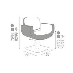 Salon Ambience ® Naomi Premium Styling Chair CH/180 & CH/181  Made in Italy