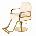 Modern Hydraulic Salon Swiveling Styling Chair