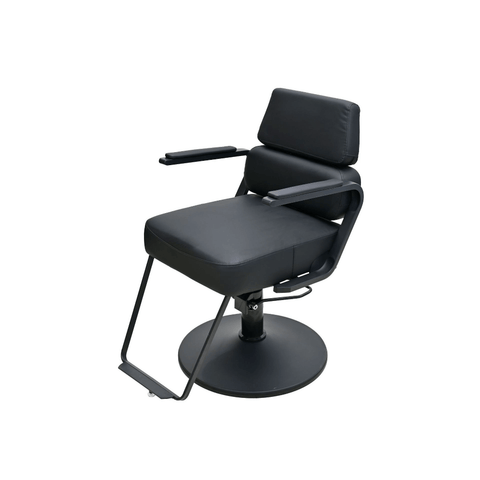 Modern Styling Chair Hair Salon Chairs 139025