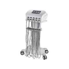Silverfox ® F-350 Professional EMS Slimming System FE-350 Machine