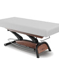 Goodwill Flat SPA Electric Massage Table - GreenLife-101871