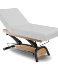 Goodwill Tilt SPA Electric Massage Table - GreenLife-101881