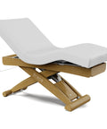 Starlet Deluxe SPA Electric Massage Table - GreenLife-