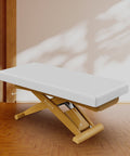 Starlet Flat SPA Electric Massage Table - GreenLife-
